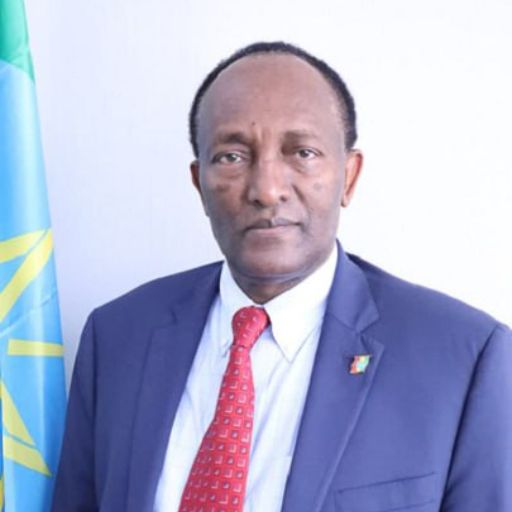 H.E. Ambassador Asfaw Dingamo (PhD)